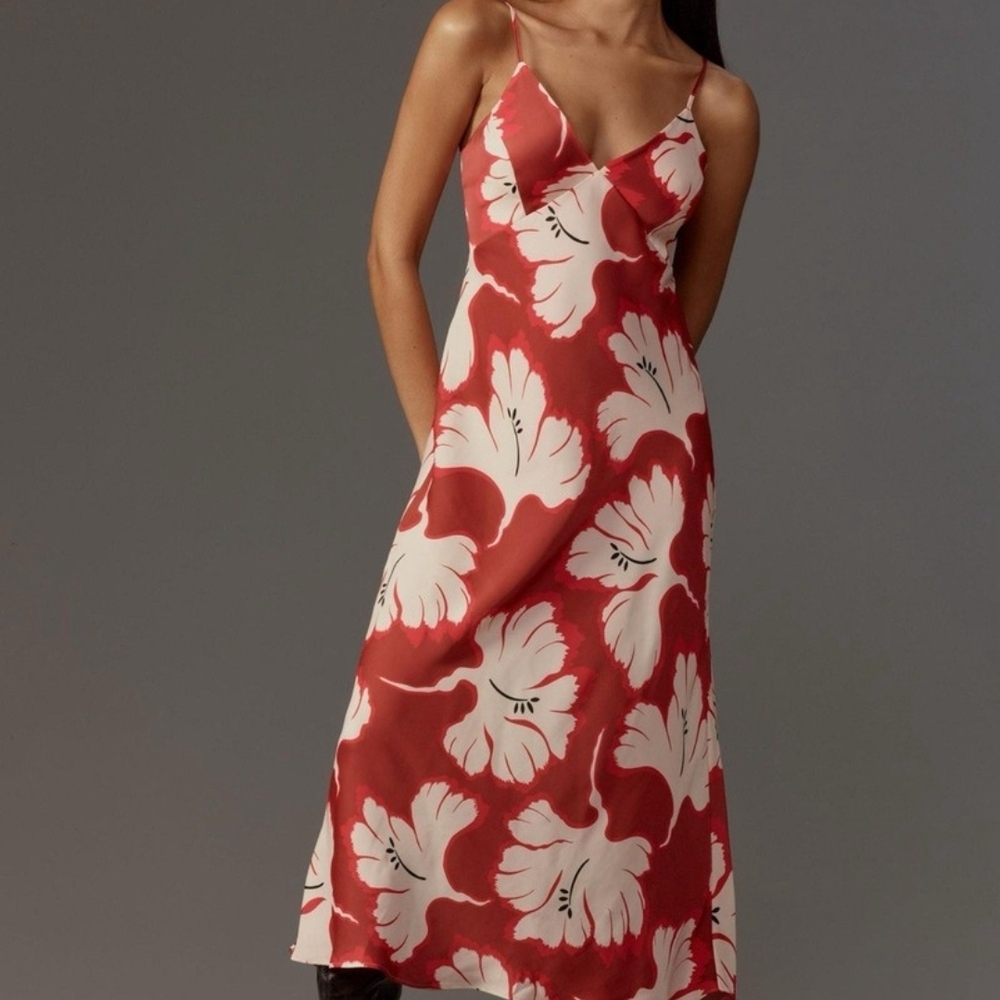 Anthropologie Red and White Floral Maxi Dress